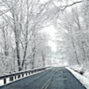 Meet your Posher, Gretchen